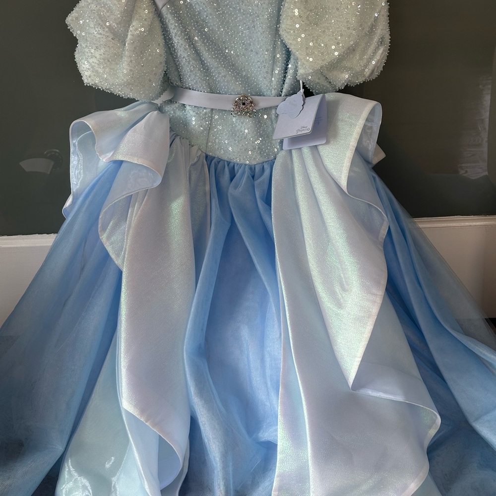 Disney Cinderella Enchanting Light Blue Fairy Costume